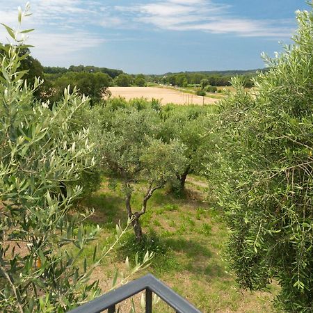 Cottage Zizzolo Riparbella Esterno foto