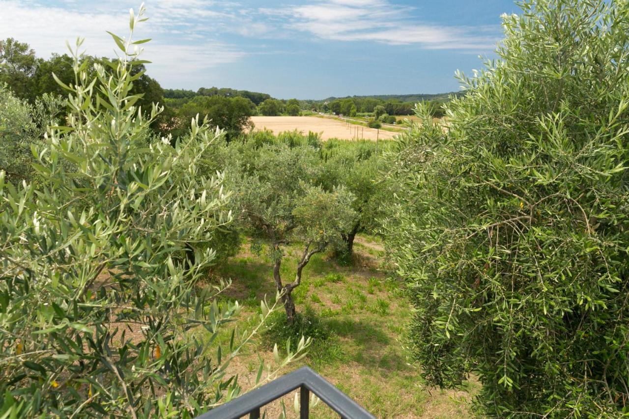 Cottage Zizzolo Riparbella Esterno foto